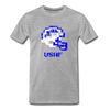 Tecmo Bowl | Air Force Distressed Logo Color - heather gray